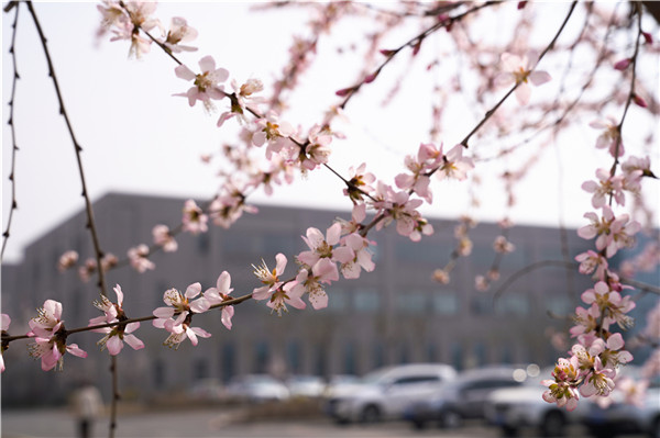 ��������������������������Ĵ���